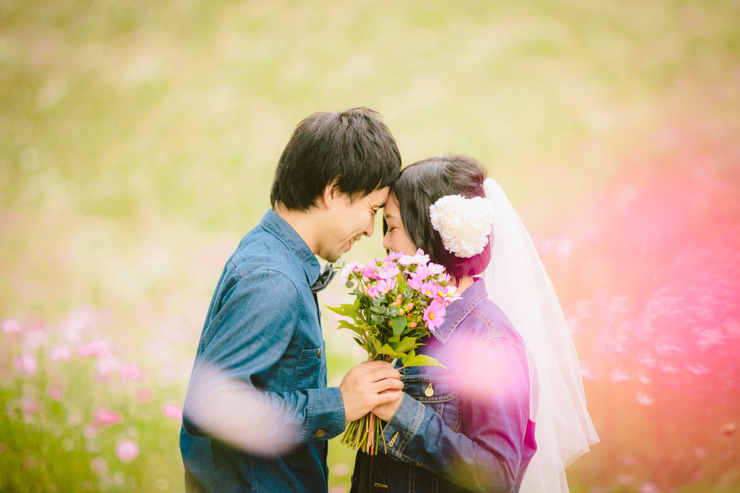 無添加写真堂